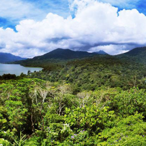 Full Day Tour in Bedugul (B) - Image 15