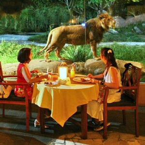 Bali Safari - Image 6