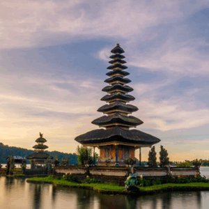 Full Day Tour in Bedugul (A) - Image 7