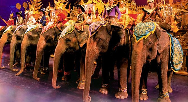 elephant-show-thailand