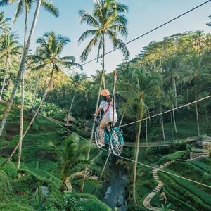 Tegalalang Rice Terrace - Image 4