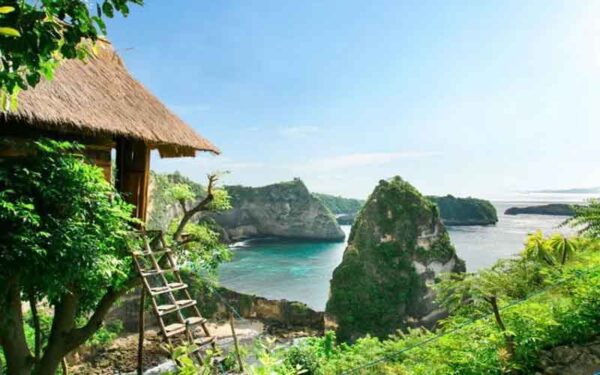 tree house molenteng