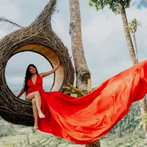 Tegalalang Rice Terrace - Image 2