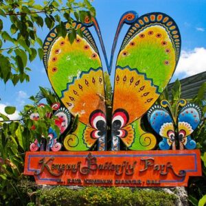 Kemenuh Butterfly Park